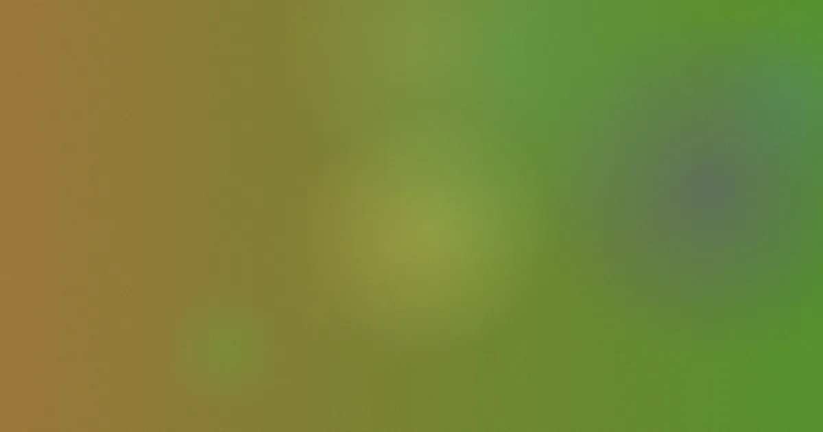 人体艺术视频攻略：怎么选不踩雷